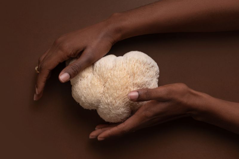 Cuándo tomar Melena de León